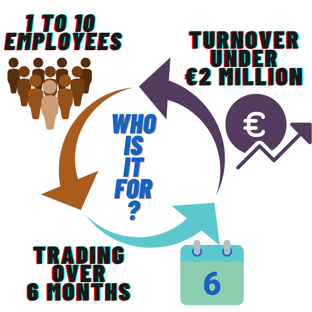 An attempt to visually depict 1 to 10 employess, turnover of less than €2,000,000 and have been trading for more than 6 months