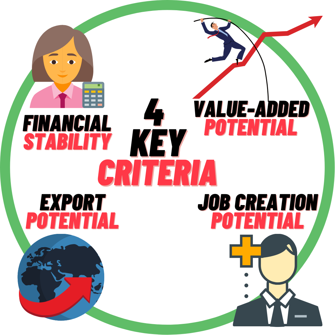 An icon for each of the 4 main criteria, Financial Stability, Value-Added Potential, Export Potential, Job-Creation Potential