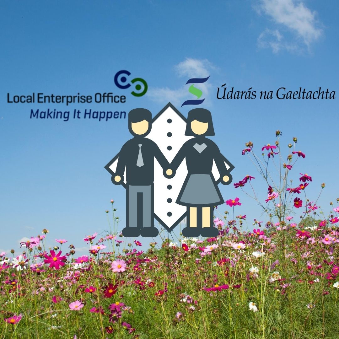 Attempting to depict a harmonious union between the Local Enterprise Office and Údarás Na Gaeltachta